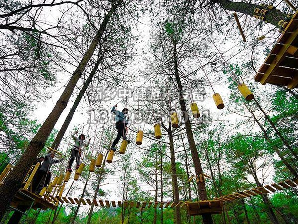 叢林穿越設備的搭建對環境有影響嗎？